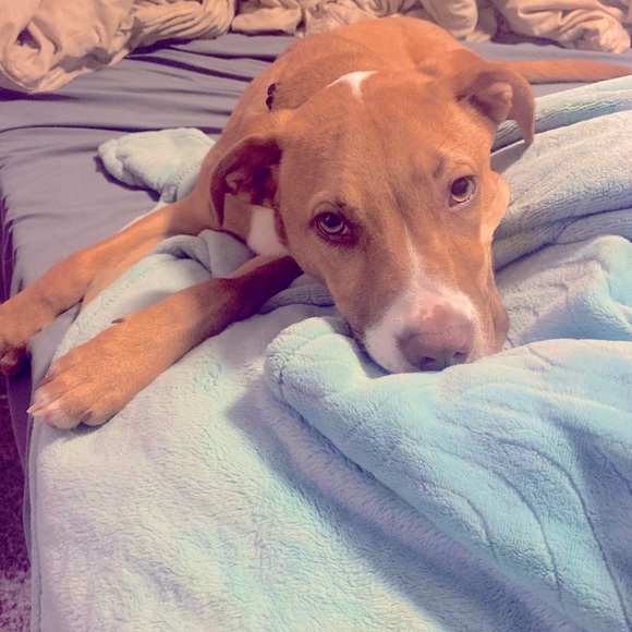 Mandala Geometric Trifold Leatherette Wallet - Picture 11 of 11